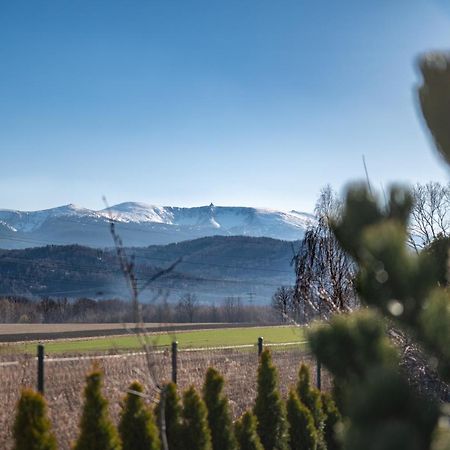 Domki W Karkonoszach Szmaragdowy Widok Wojcieszyce Bagian luar foto