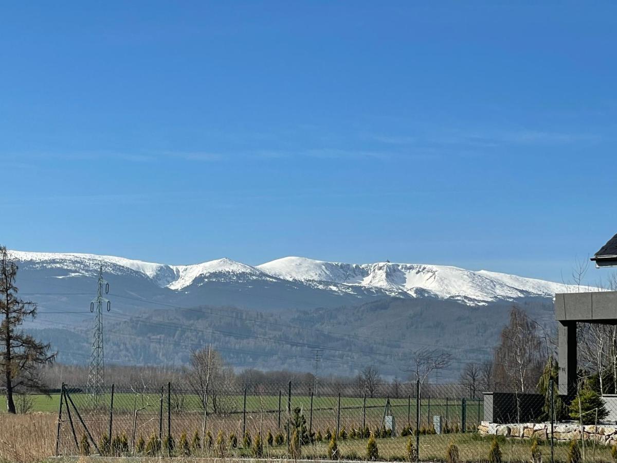 Domki W Karkonoszach Szmaragdowy Widok Wojcieszyce Bagian luar foto